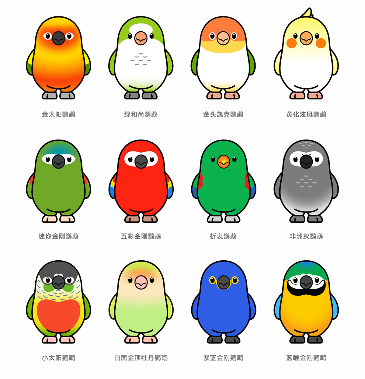 鸚鵡大力變裝 鸚鵡大力變裝